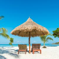 Direzione tecnica agenzia di viaggi Marche