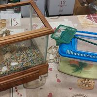 Vaschetta per pesci in vetro e legno