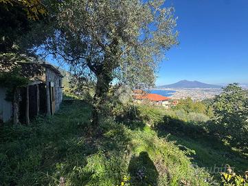 TER. AGRICOLO A PIMONTE