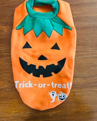 Maglietta Halloween per cane taglia piccola