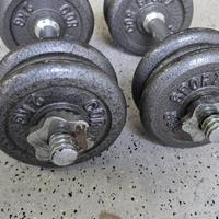 Manubri vintage da 10 kg ognuno modulabili