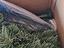 Immagine 3
