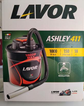 Aspiracenere 18 la 1000W