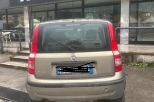 Panda