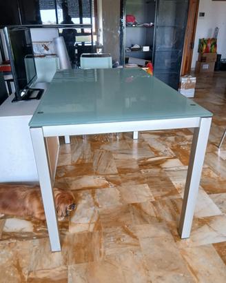 tavolo da cucina con piano in cristallo
