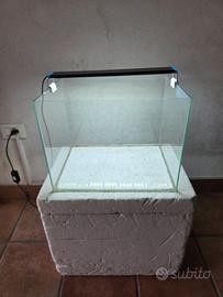 Acquario x caridine