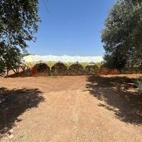 Terreno Agricolo Grottaglie [LM2586VCG]