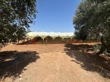 Terreno Agricolo Grottaglie [LM2586VCG]