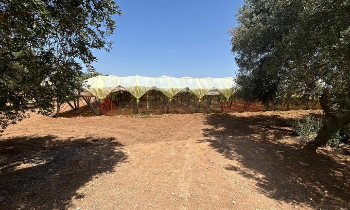 Terreno Agricolo Grottaglie [LM2586VCG]