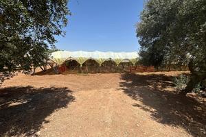 Terreno Agricolo Grottaglie [LM2586VCG]