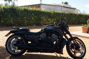 Harley-Davidson V-Rod - 2010