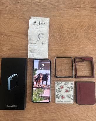 Flip 6 256gb