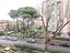 Immagine 15