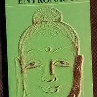 Entronauti. di Piero Scanziani.