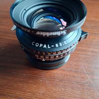 Obbiettivo Schneider 5,6/150mm APO-Symmar