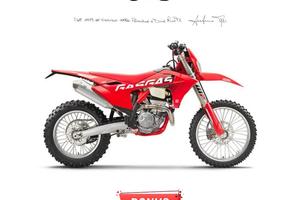 GAS GAS EC 250 F