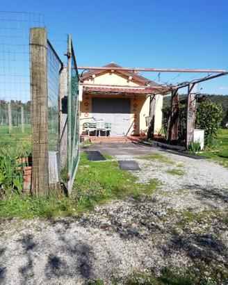 Annesso + terreno