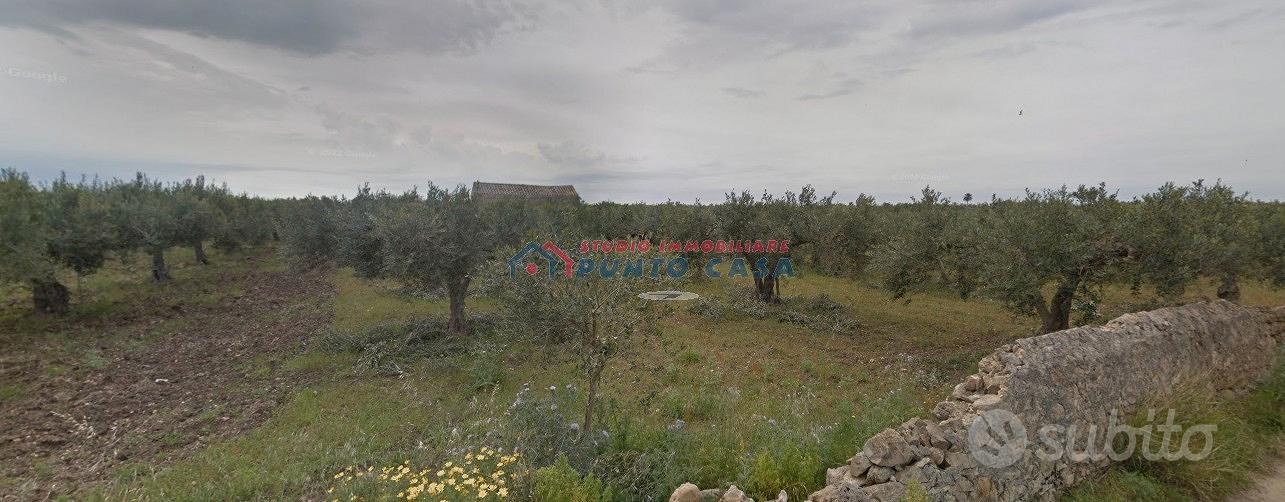 PIETRETAGLIATE - Terreno agricolo di 4.000 mq ca - Vista 2