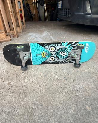 Skateboard