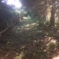 Terreno agricolo