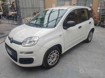 Fiat Panda 1.3 MJT Euro 6 posti 5