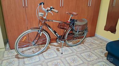 Bicicletta da passeggio 
