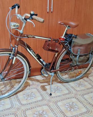 Bicicletta da passeggio 