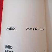 Felix Mio Mao