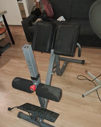 palestra per estensioni schiena