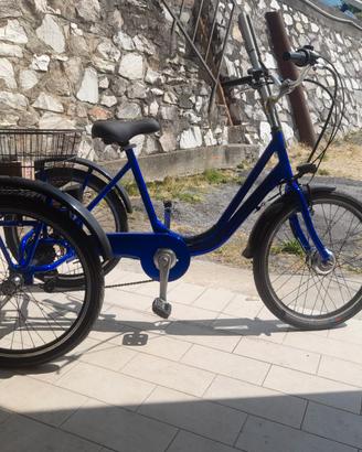 Bicicletta elettrica