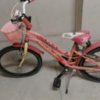 Bicicletta 20