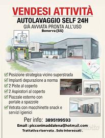 Autolavaggio