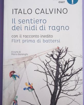 Il sentiero dei nidi di ragno - Italo Calvino