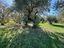 Immagine 25