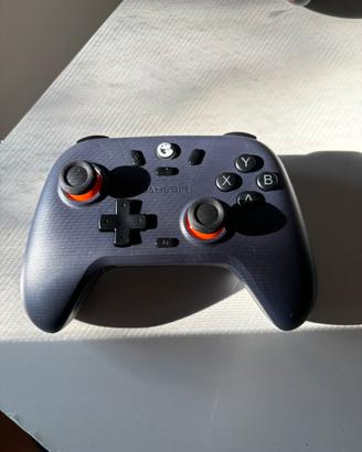 2 Joystick per PC funzionanti