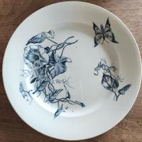 Piatti da collezione