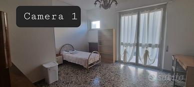 Stanza STUDENTESSE  295€