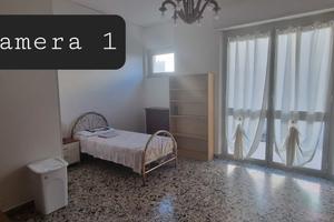 Stanza STUDENTESSE  295€