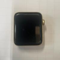 Apple watch serie 2 da 42 mm