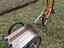 Immagine 2