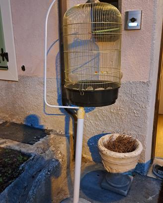 gabbia per uccellini