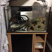 Acquario Vitrea design