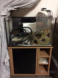 Acquario Vitrea design