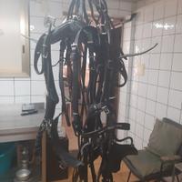 finimenti per cavallo grande