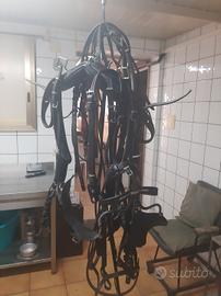 finimenti per cavallo grande