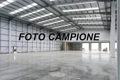 Immobile di 20000 m² a Cologna Veneta