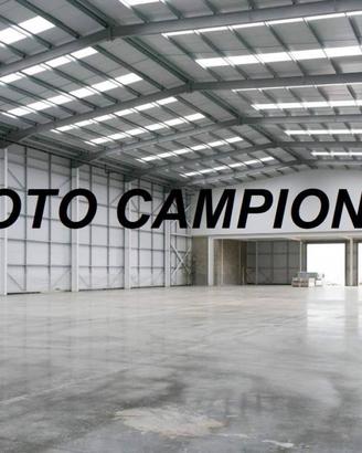 Immobile di 20000 m² a Cologna Veneta
