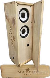 Cassa audio amplificata Bluetooth