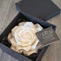 Rosa eterna Enigma 