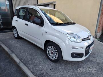FIAT Panda 1.2 pop 4 CILINDRI-EURO6B-PREZZO REAL